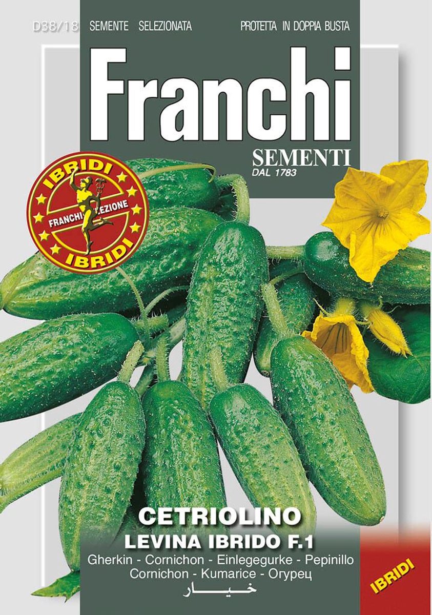 Franchi - Augurk, Cetriolino Levina F1 38/18