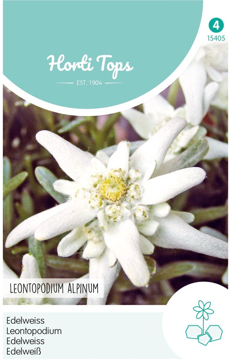 Edelweiss Bloemzaad - Leontopodium Alpinum
