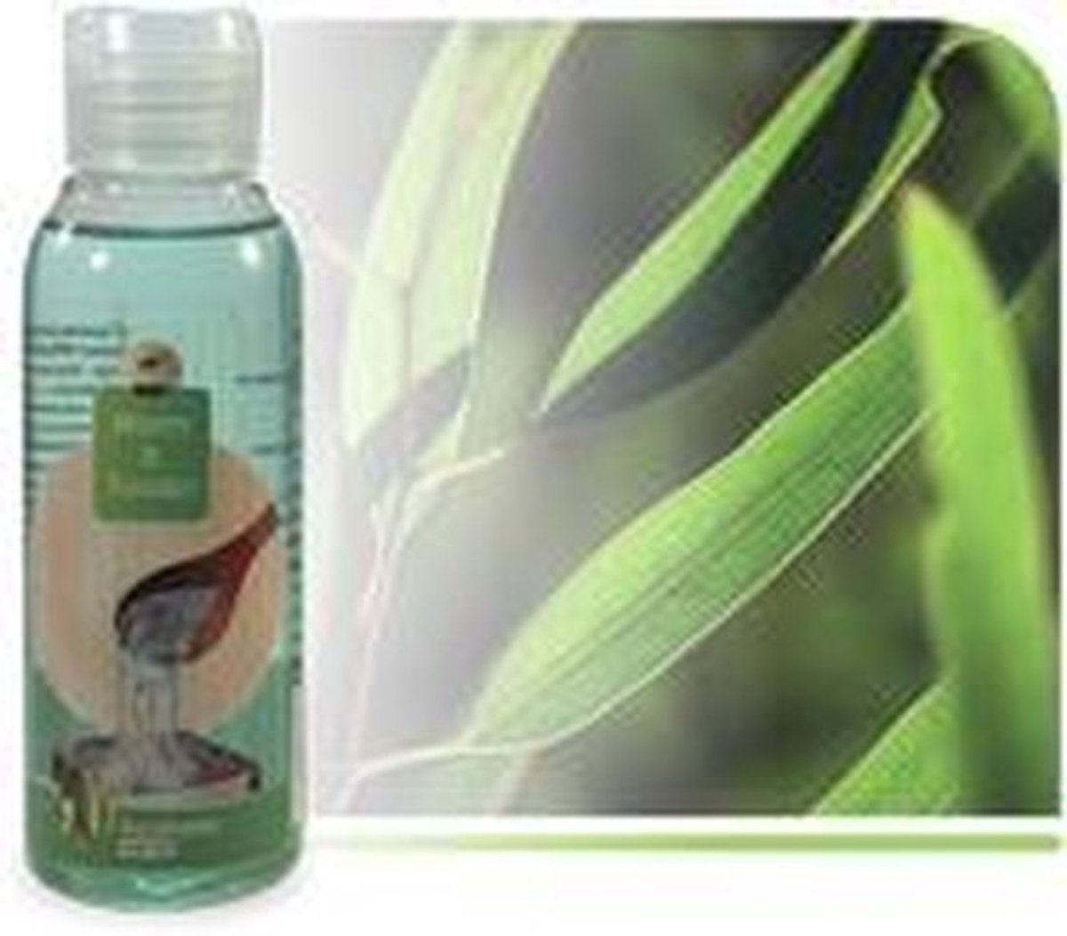 Warm & Tender - Eucalyptus Saunageur - 100 ml
