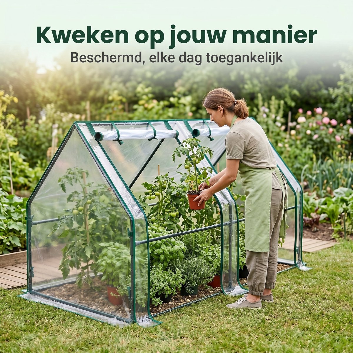 Cheqo® Kweekkas - Foliekas - Tuinkas - Broeikas - Plantenkas - Serre - Greenhouse - Walk-in Kas - voor Balkon en Tuin - met Ritsdeuren - Tomatenkas - Tomatenhuis - Moestuinkas - Plantenhuis - voor Groenten en Bloemen - Kruiden Kweken – foto 5