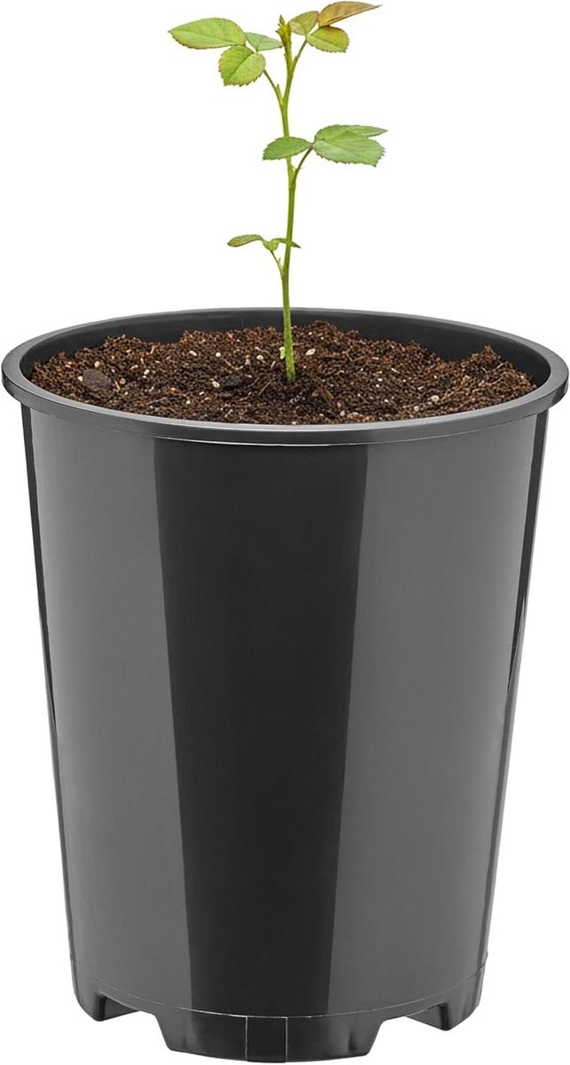 Ronde Bloempot - Plantenpot Kunststof - Planten Kweken - Met Drainagegaten - Ø11 x 135 cm - Zwart