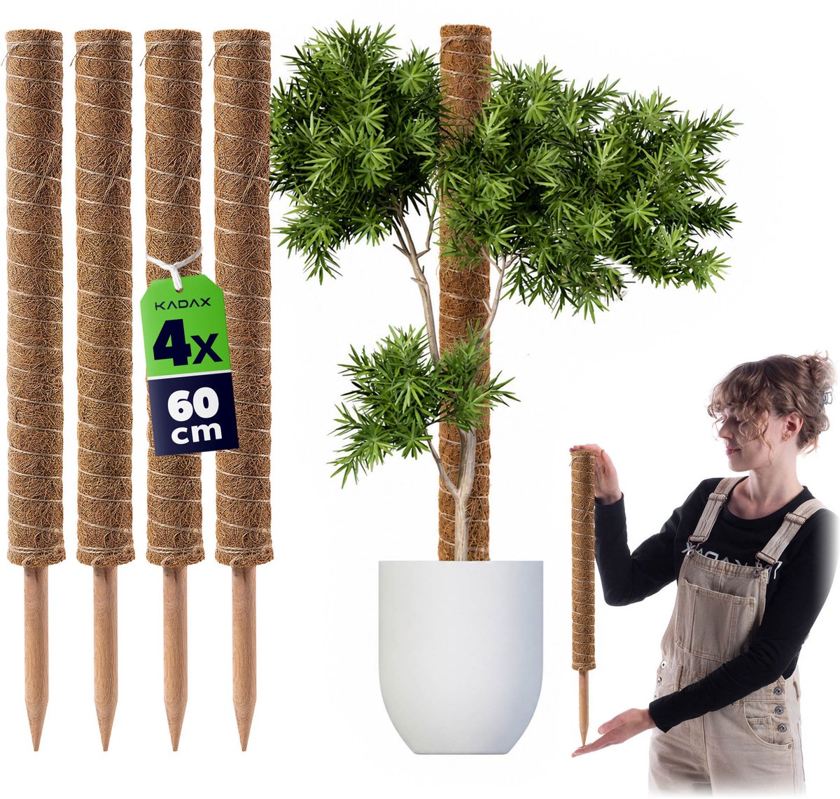 Cande kokos plantensteun 60 cm potondersteuning 4 st.