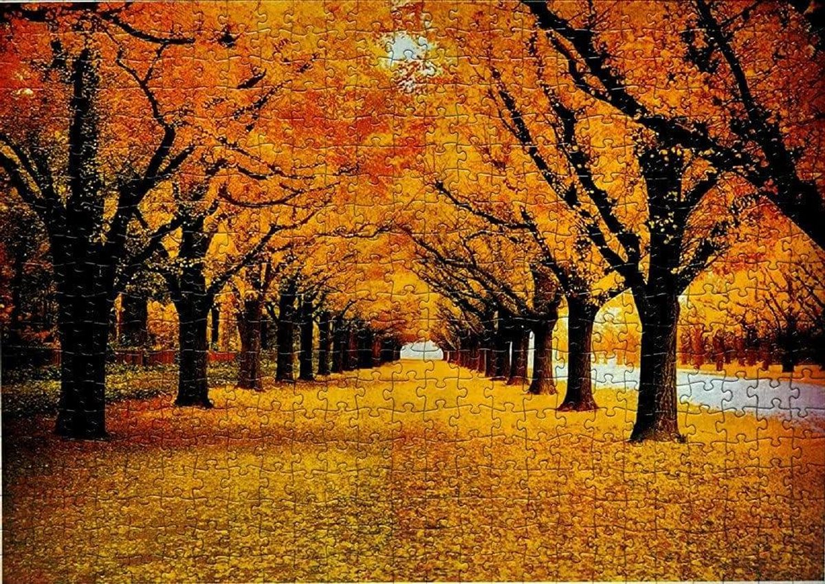 Herfst Boom Puzzel - 1000 Stukken - Binnen Plezier - Premium Kwaliteit Karton - 22 x 2 x 2 cm