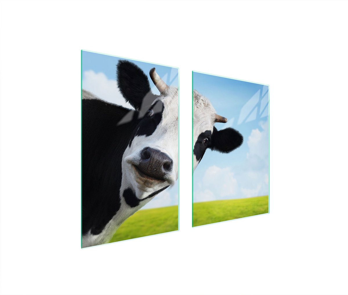 TMK ArtDeko - Glazen Beschermer - 65x52 cm - Kleur Krowa - Veiligheidsglas