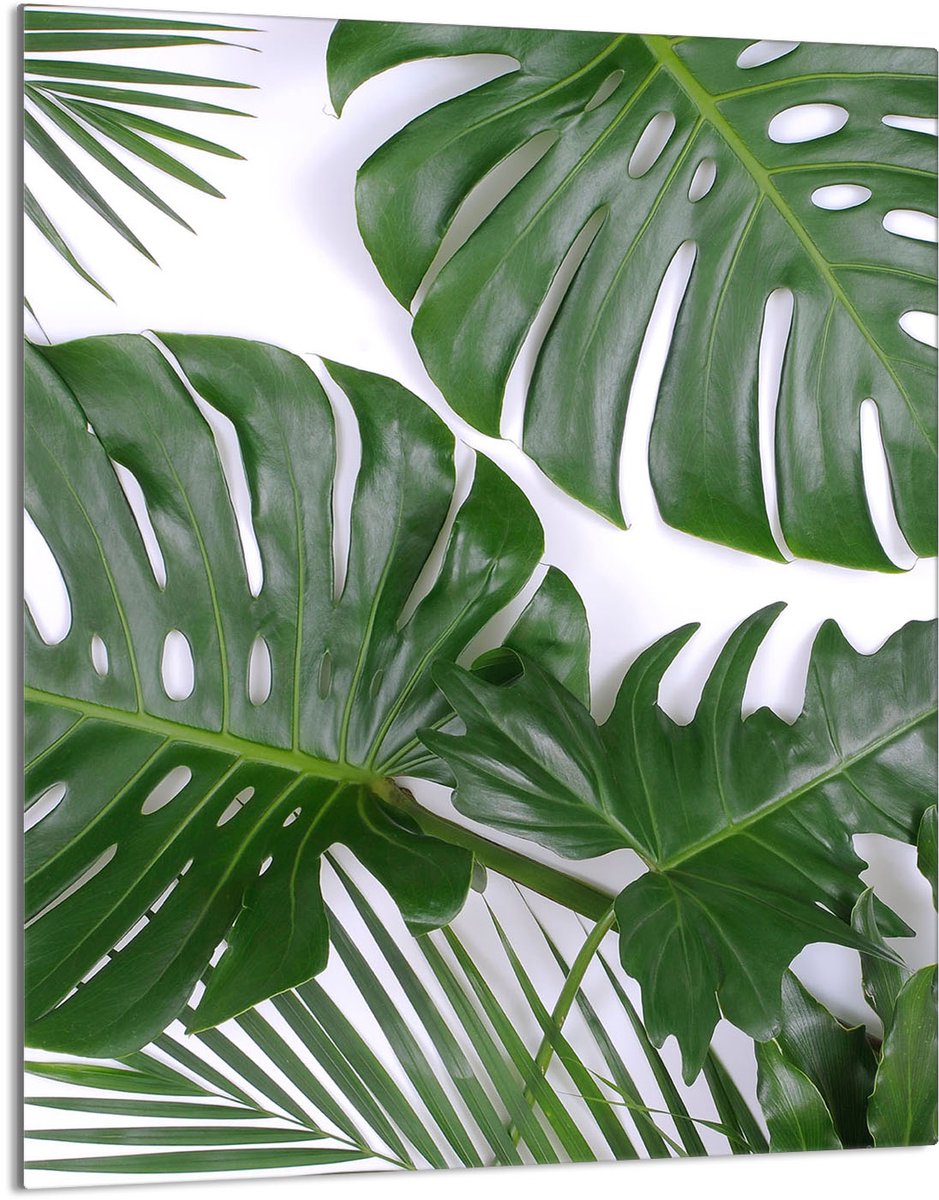 TMK ArtDeko Serie - Snijplank van Geh... ARTDEKO 40x52 Monstera