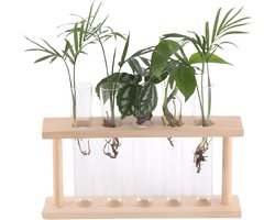 Testbuis Planten Terrarium met Houten Stand voor Hydroponics - Ideaal voor Thuis, Tuin en Kantoor Decoratie