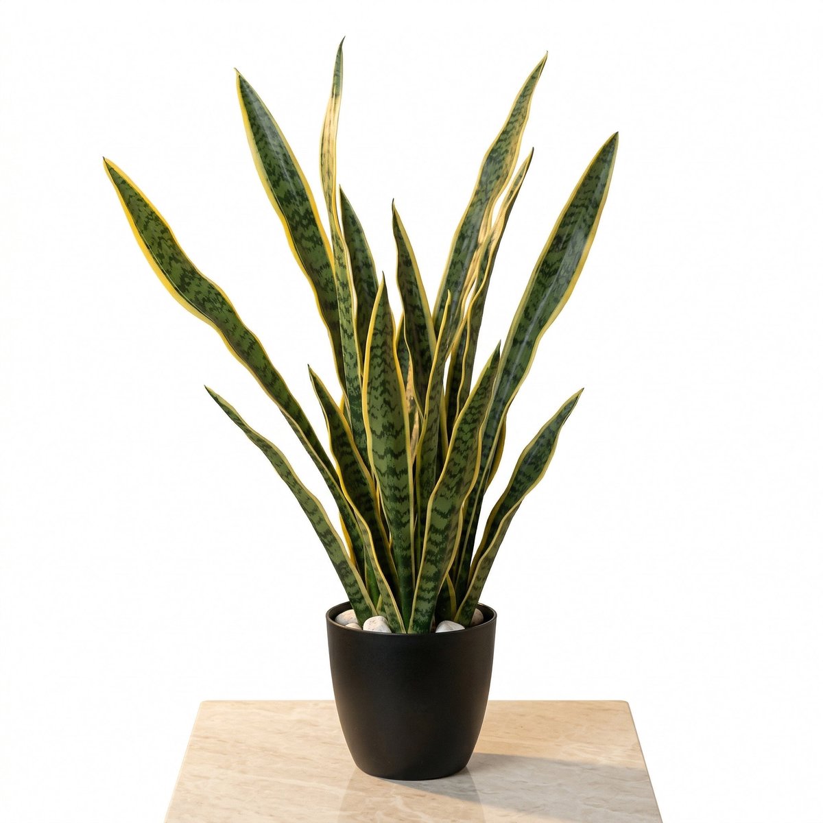 Cheqo® Kunstplant Sansevieria - Vrouwentong - Sanseveria - Nepplant - Nep Sansevieria - Kunst Vrouwentong - voor Binnen - Woestijnplant - Kamerplant - Decoratie - Kantoorplant - Sfeerplant