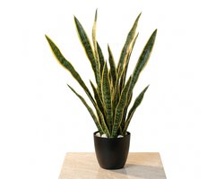 Cheqo® Kunstplant Sansevieria - Vrouwentong - Sanseveria - Nepplant - Nep Sansevieria - Kunst Vrouwentong - voor Binnen - Woestijnplant - Kamerplant - Decoratie - Kantoorplant - Sfeerplant