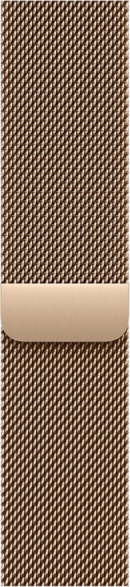 Apple MGHW4ZM/A slimme draagbare accessoire Band Goud Roestvrijstaal - 42mm