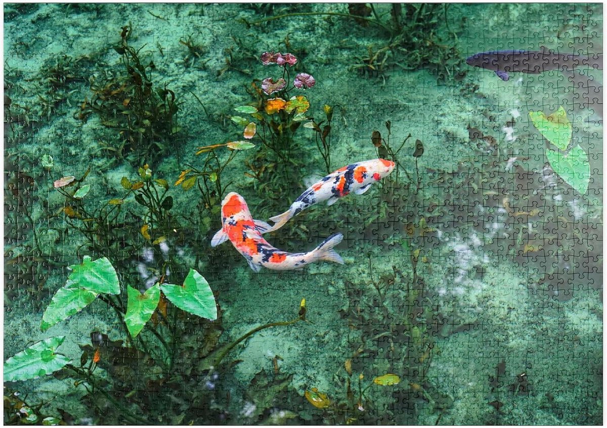 Legpuzzel 1000 stukjes - Monet's Koivijver - Ontspanning thuis - FSC-gecertificeerd papier - Rechthoekig