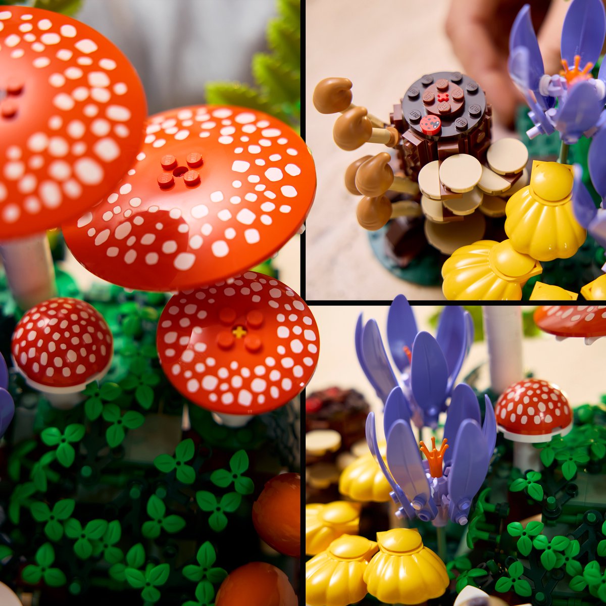LEGO® Botanicals Bospaddenstoelen - 11505 – foto 3