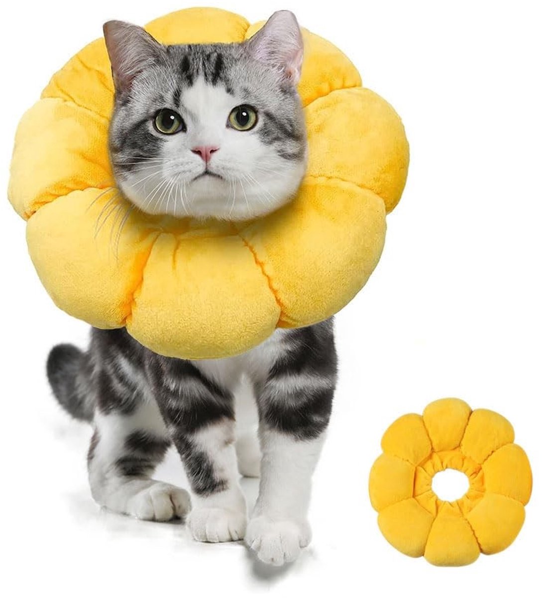 Dailygoods - Kattenhalsband - Herstelhalsband - Verstelbaar - Zonnebloem - Beschermkraag - Wondgenezing - Geschikt voor Kittens - XS