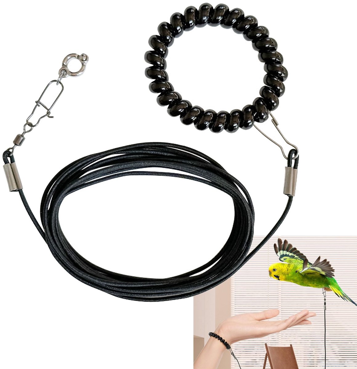 Dailygoods - Papegaai vogeltuigje - Vogelharnas met lijn - 3 meter - Zwart - Geschikt voor papegaaien - Ideaal voor wandelen en buitenspelen