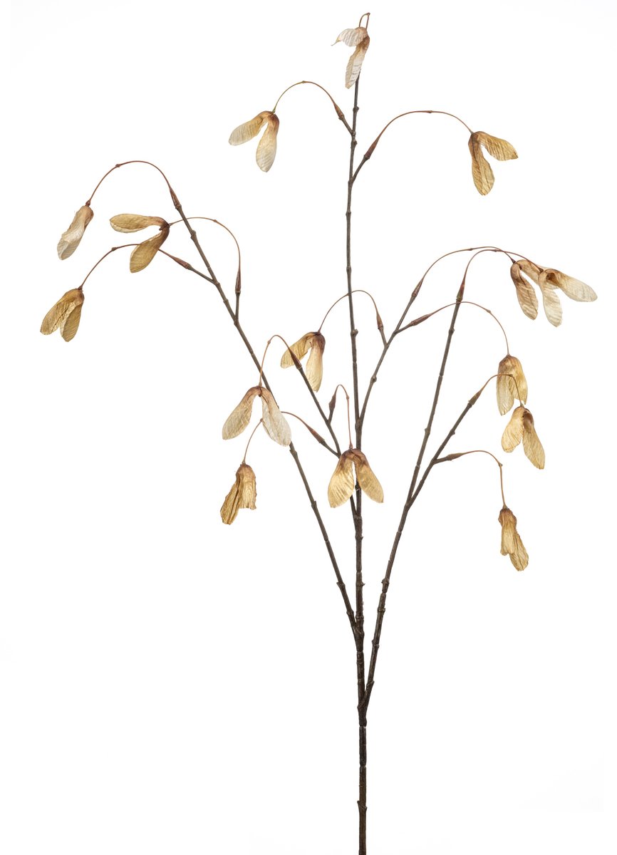Kunsttak Maple Seed Esdoorn Tak - Natuurgetrouw & Onderhoudsvrij