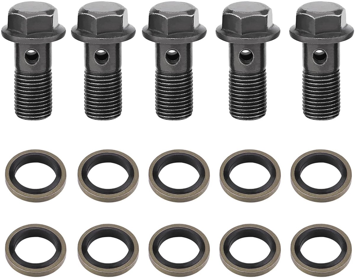 Dailygoods - Remschroef - Motorfiets - Roestvrij - M10 x 1.25 - M10 x 1.0 - Set van 5 - Geschikt voor remklauw hoofdremcilinder - Zilverkleurig