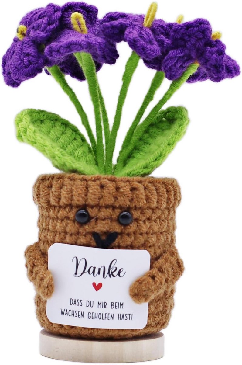 Gehaakte Bloemen Danke Geschenk - Afscheids- en Bedankje Cadeau - Pocket Hug Geluksbrenger met Sokkel