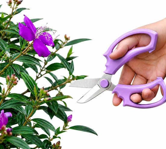Snoeischaar voor Bloemen & Planten 17 cm - Paarse Multifunctionele Bloemenschaar met RVS 2Cr13 Bladen - Professionele Snoeischaar voor Tuinieren, Bloemschikken & Oogsten — afbeelding 2