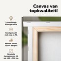 Product afbeelding  10