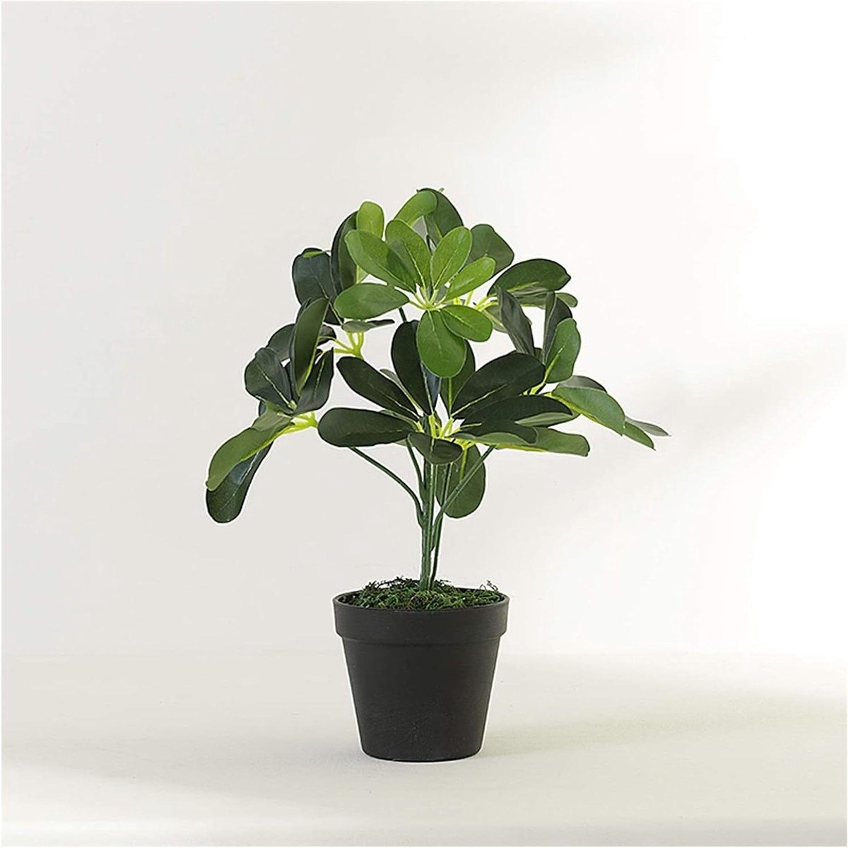 Kunstplant Vijgenboom - Valse Plant - Huis Decoratie - Realistisch Ontwerp - Tot 55 cm - Groen