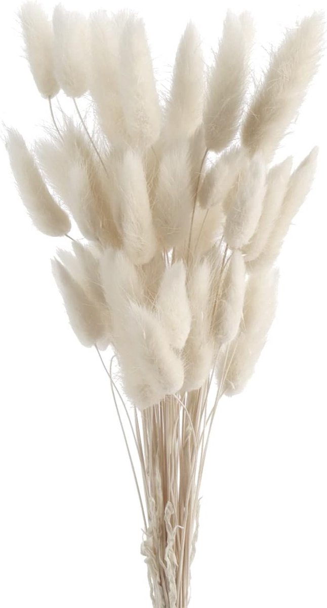 Fluffy Dried Flowers - 50 Stuks Gedroogde Pampas Grassen van 45 cm - Natuurlijke Decoratie voor Thuis en Bruiloften