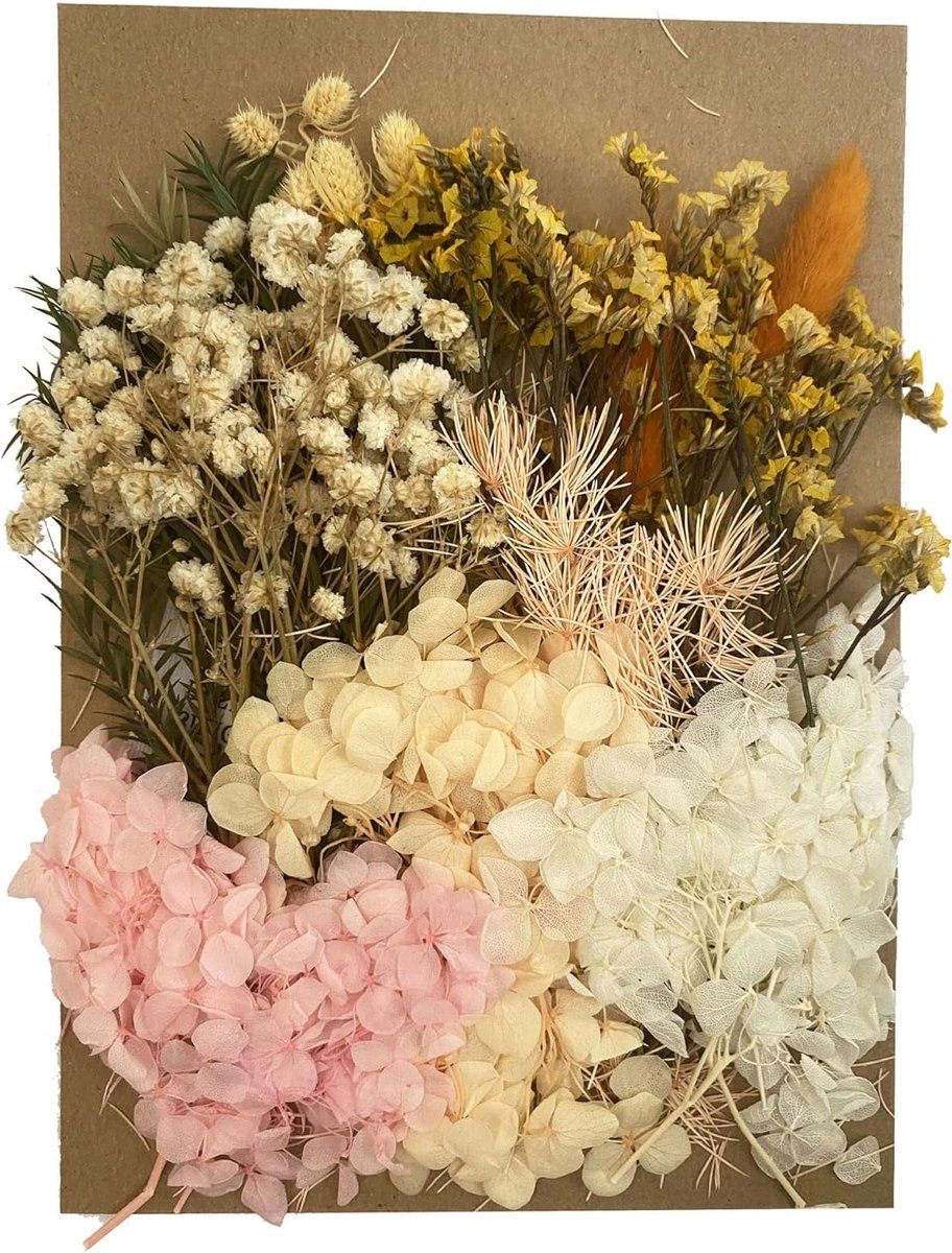 **Allecto Plus - Gedroogde bloemenmix voor knutselen en scrapbooking** Met diverse natuurlijke gedroogde bloemen voor creatieve projecten - in Nederland.