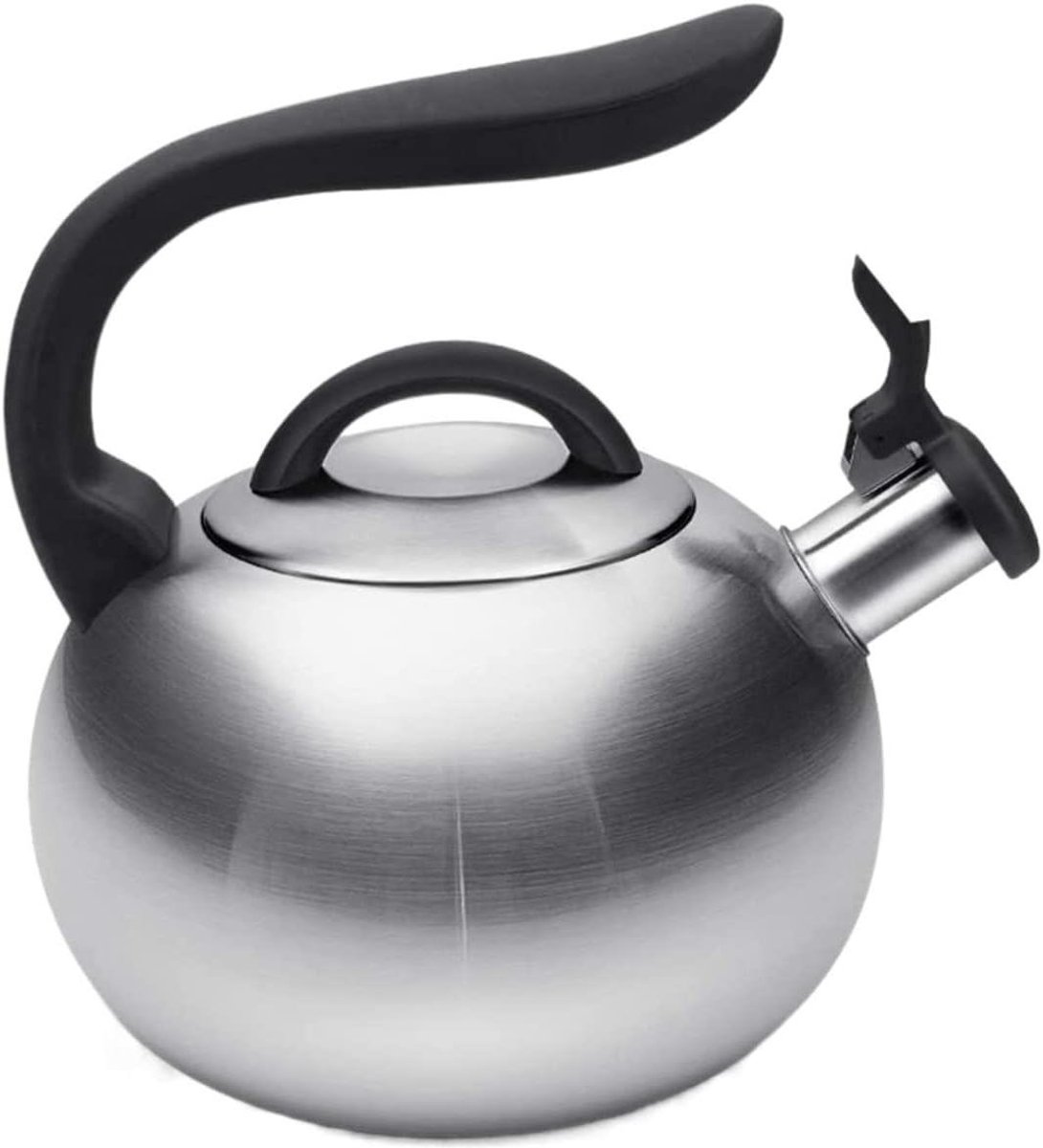 Fluitketel Roestvrijstaal - Waterkoker Theepot - Water Koken - Met Fluitindicator - 2.6L - Blauw