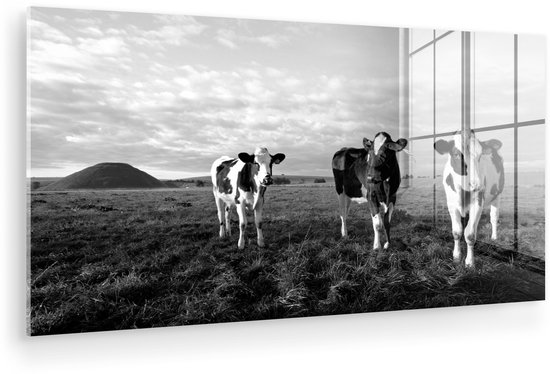 ® Glasschilderij 80x40 cm - Schilderij acrylglas - Koe - Zon -Dieren - Foto op glas - Muurdecoratie woonkamer - Wanddecoratie slaapkamer - Schilderijen