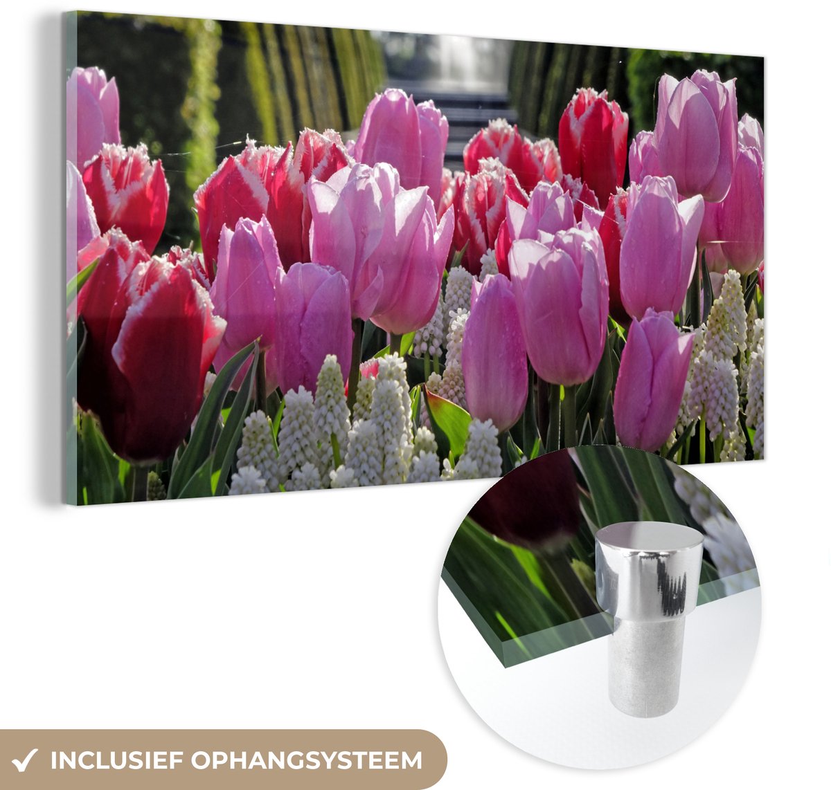 ® Glasschilderij 80x40 cm - Schilderij acrylglas - Tulpen voor een fontein in de Keukenhof