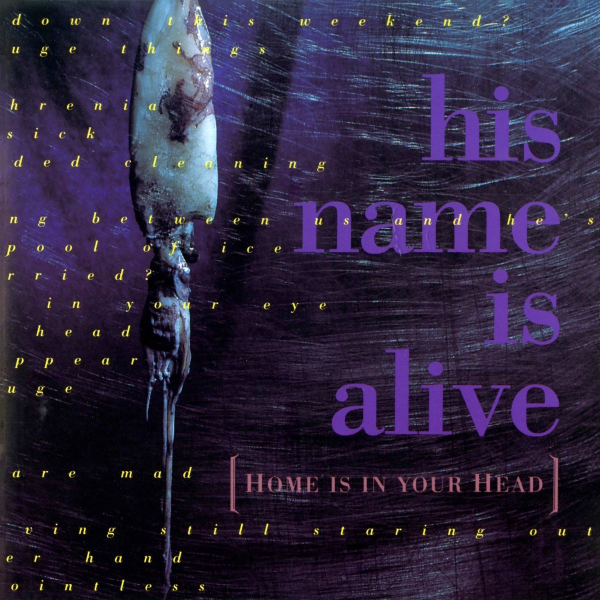 His Name Is Alive - Home Is In Your Head (CD)