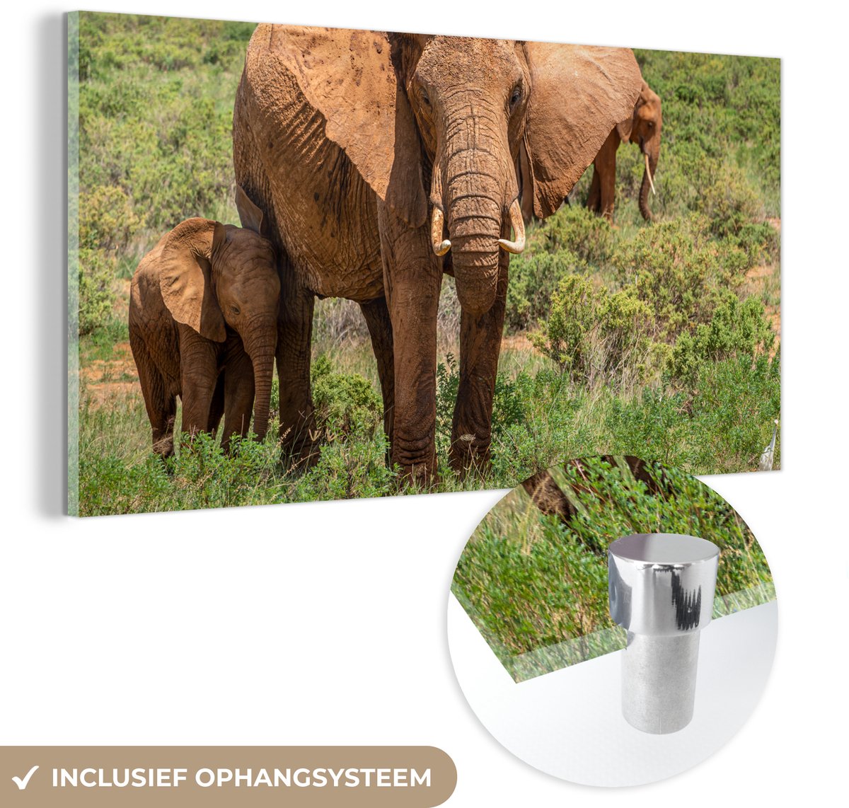 ® Glasschilderij 160x80 cm - Schilderij acrylglas - Moeder olifant met haar baby in het gras - Foto op glas - Muurdecoratie woonkamer - Wanddecoratie slaapkamer - Schilderijen