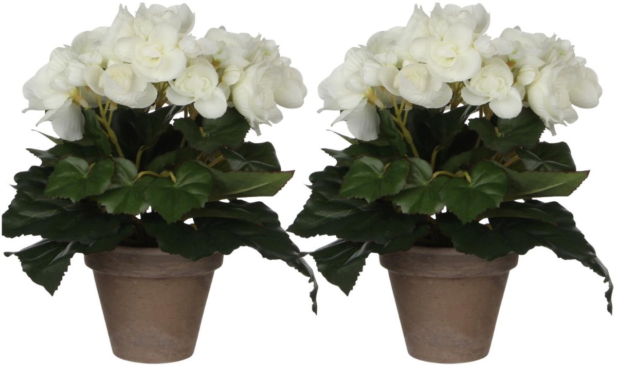 Mica Decorations Mica Decoration Kunstplant - 2x - begonia - wit - in pot - 25 cm - nepplanten - kunstbloemen