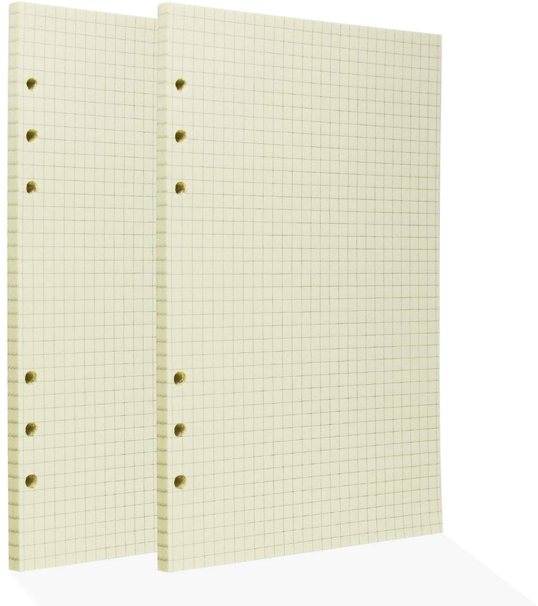 Dailygoods- Notitieboek A5 - 120 Vellen Navulpapier - Geruit Papier - 6-Gaats Connector - Beige - Hoogwaardige Kwaliteit