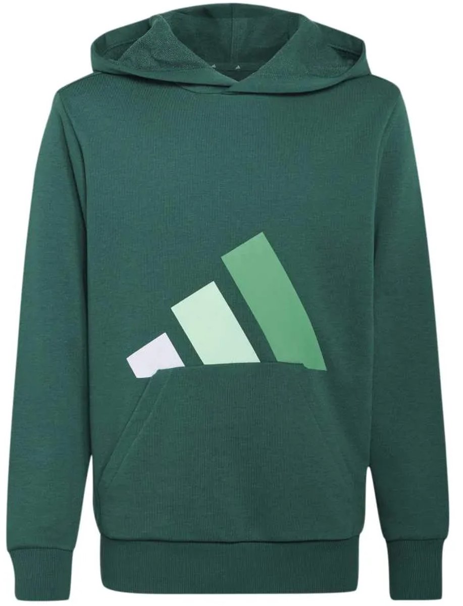 Adidas Essentials Hoodie 15-16 Years Kinderen Groen