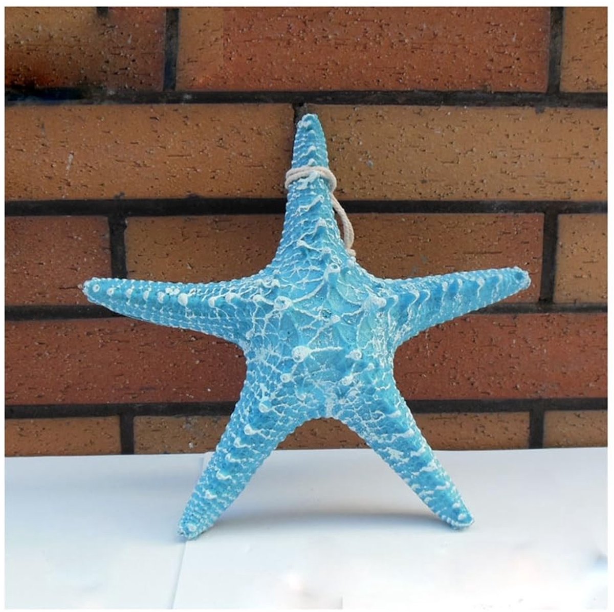 Dailygoods- Zeester Decoratie 13 cm - Wanddecoratie Hars - Mediterrane Stijl - Kleurrijke Ornamenten - Hangdecoratie - Voor Thuis/Balkon