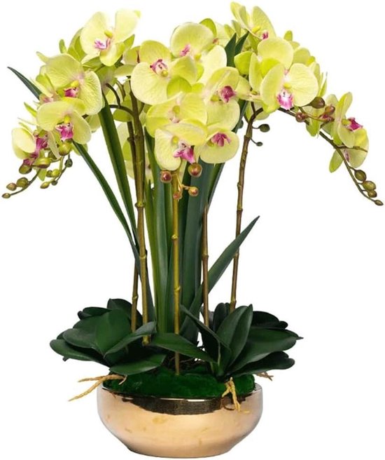 Kunstorchideeën - Nepbloemen - Huisdecoratie - Levensgetrouw en onderhoudsvrij - 56 cm hoog - Groen