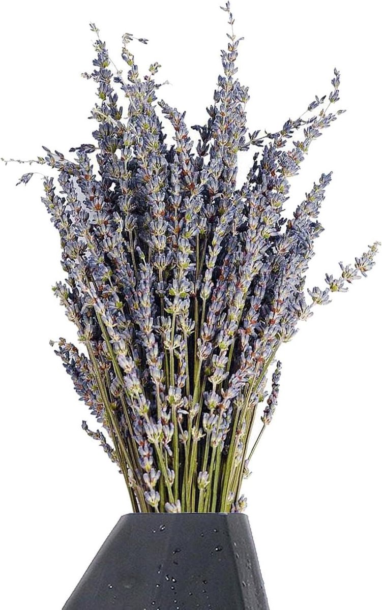 Gedroogde Lavendel - Aromatische Bloemen - Huis Decoratie - Natuurlijke Schoonheid - 20 Gr