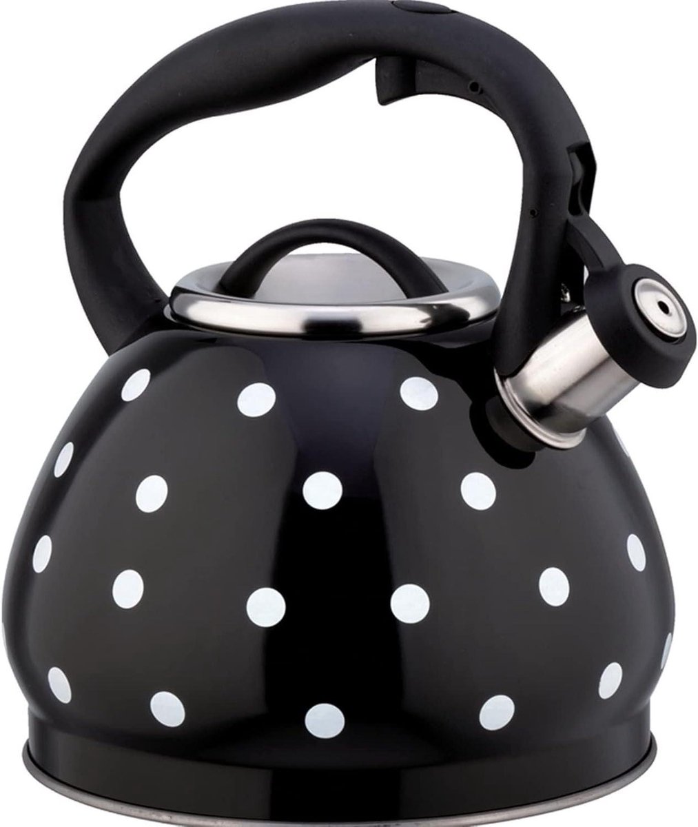 Theepot RVS - Waterketel - Water Koken - Melodieus Fluitje - 32 Liter - Zwart