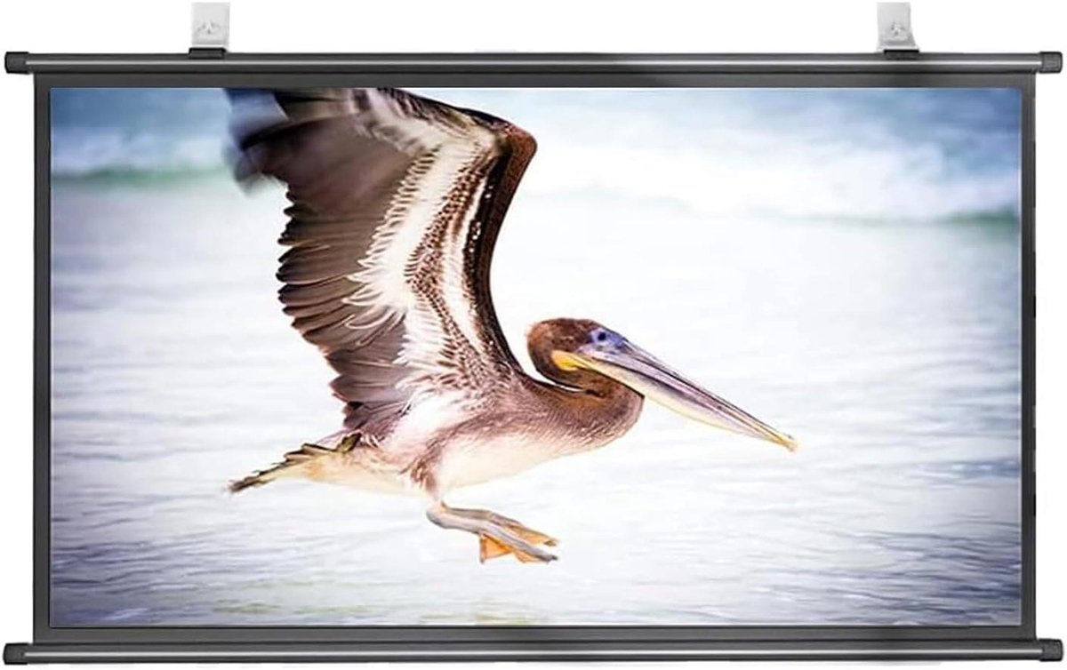 Projectiescherm - Filmscherm - Thuisbioscoop - Kreukvrij - Tot 72 inch - Wit
