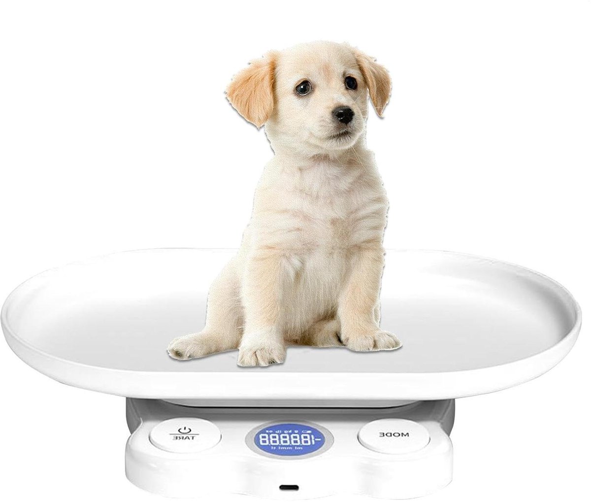 Huisdier Weegschaal - Elektronisch Meetapparaat - Gezondheid Monitoren - Bewegingspreventie - 15 kg Capaciteit - Wit