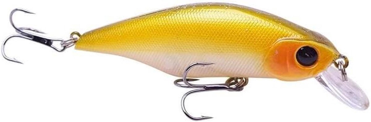 Vislokaas Kunstaas - Hard Lokaas - Vissen Op Baars - Realistische Drijfwerking - 9 cm 11 g - Veelkleurig