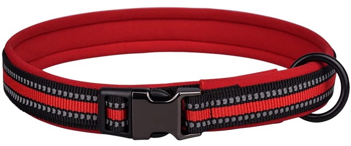 Dailygoody - Reflecterende nylon halsband - Verstelbare hondenhalsband - Veiligheidsgesp - Rood - Zachte neopreen vulling - Geschikt voor kleine en mi