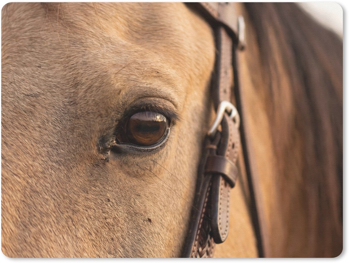 Muismat 12x10 cm - Mousepad Paard - Oog - Bruin - Muismatten