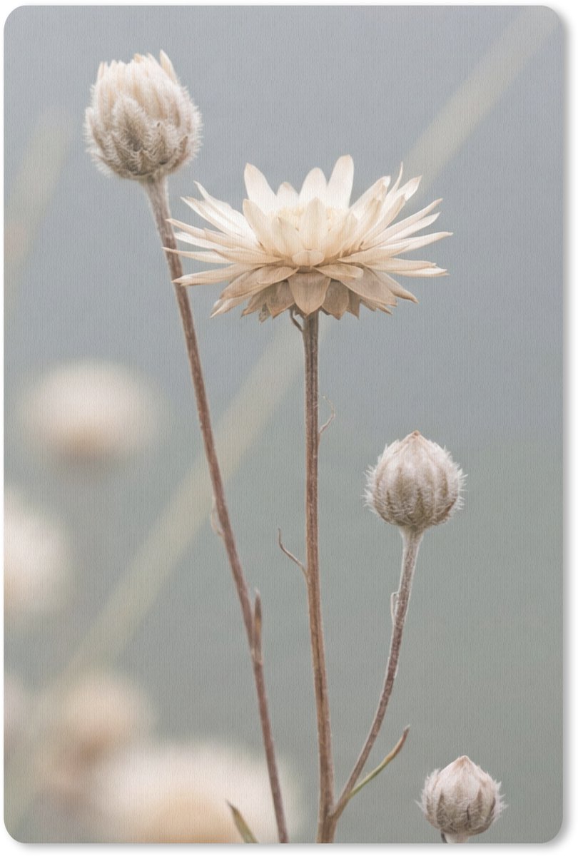 Muismat 13x20 cm - Mousepad Strobloemen - Wit - Daglicht - Muismatten