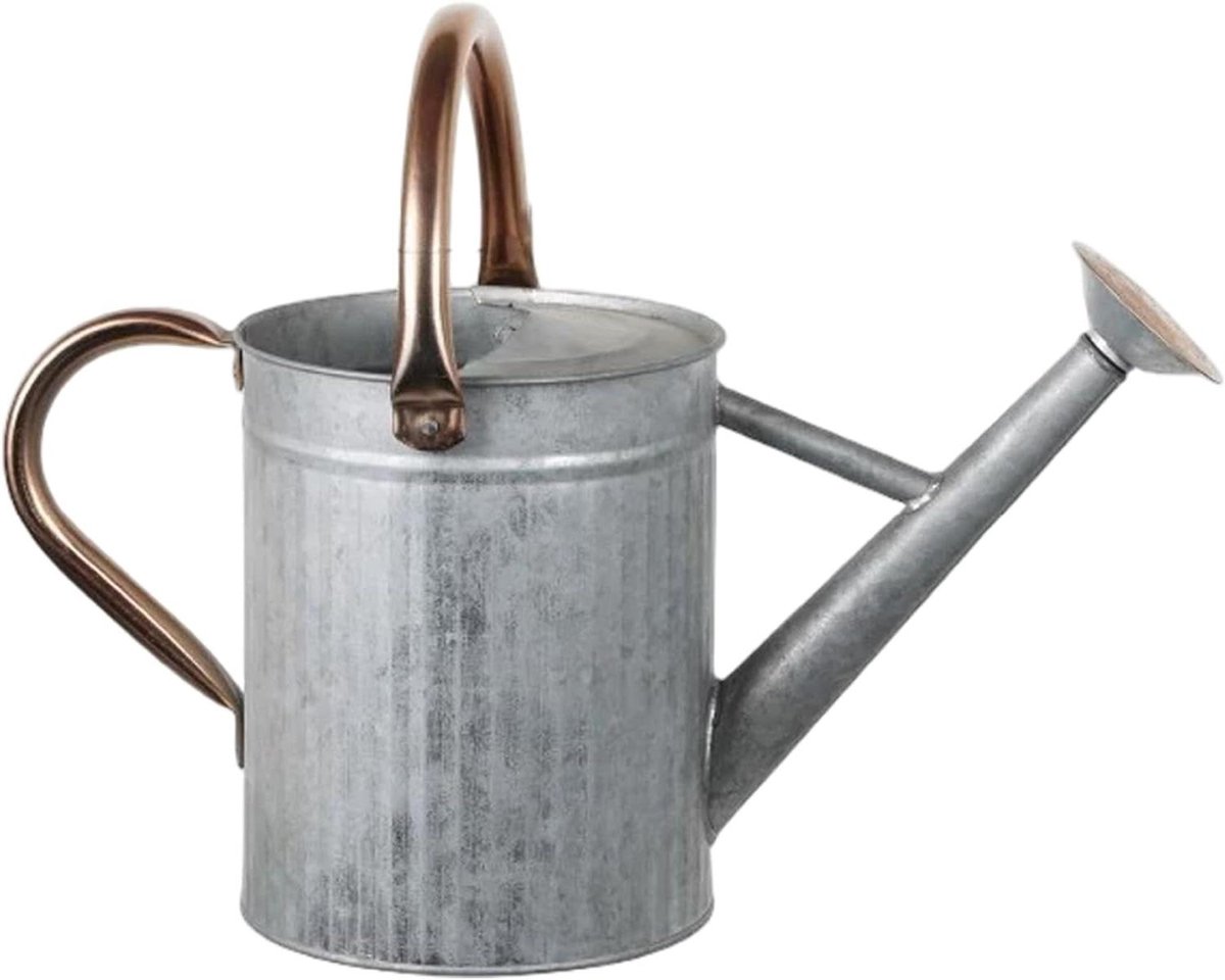 Roestvrijstalen Gieter - Metalen Waterkan - Planten Water Geven - Twee Handvatten - 5 Liter - Zilver