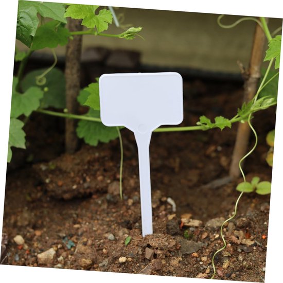 Tuin Zaai Gereedschap - Zaai Set - Gemakkelijk Planten - Verstelbare Sproeier - 178 Gram - Groente — afbeelding 3