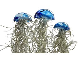 Set van drie mooi gekleurde glazige Jellyfish luchtplantjes blauw met Spaans mos/airplants/tillandsia/Usneoides/kwal/kamerplant/makkelijke plant/epoxy