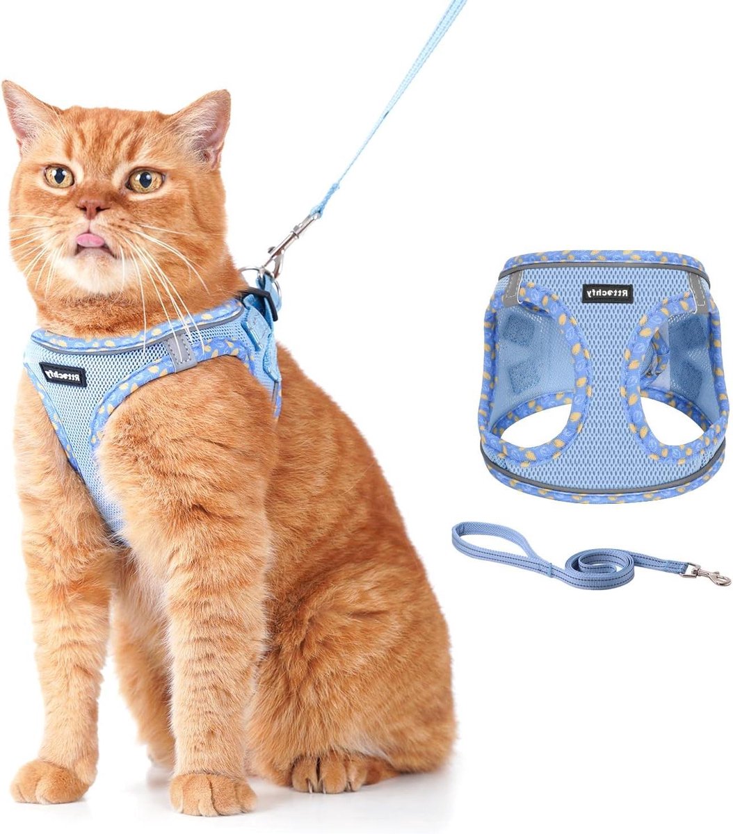 Kattenharnas en riem - Veilig tuig - Buitenavontuur - Ontsnappingsbestendig ontwerp - Maat S - Blauw