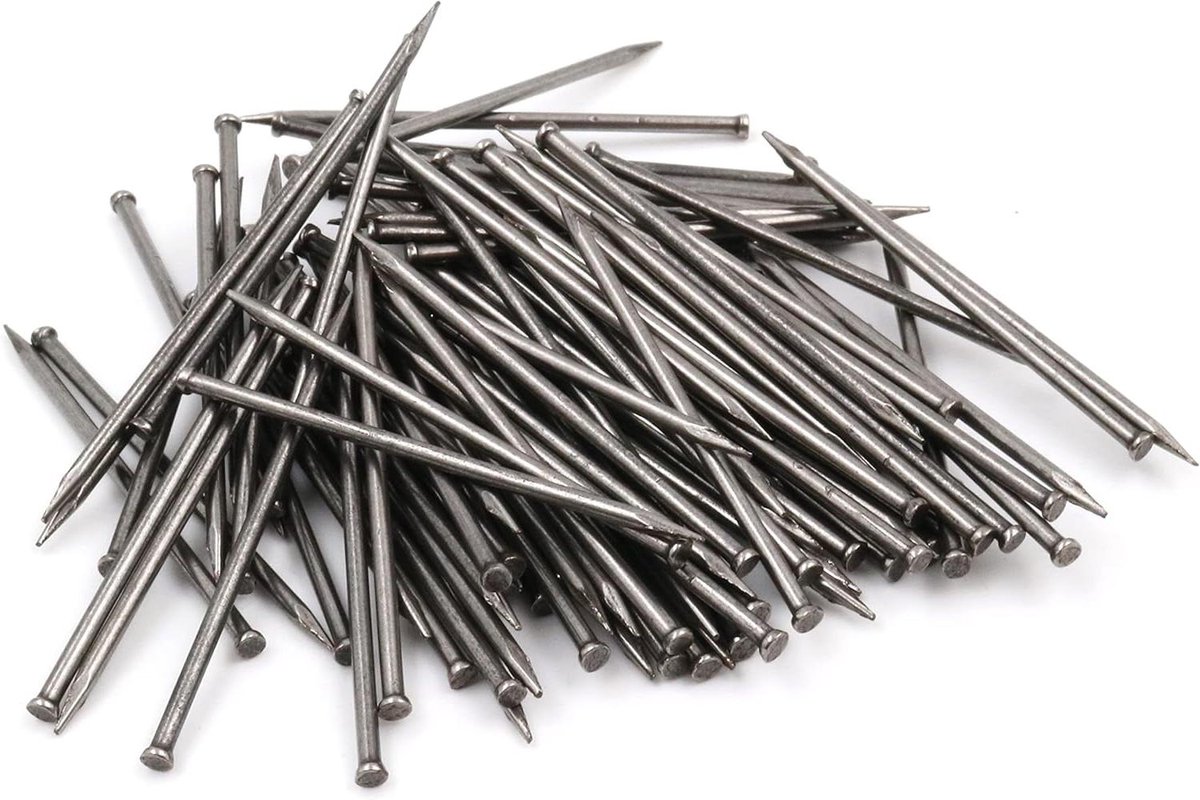 Stalen Pinnen - Plintstiften Nagels - Bevestigen Materialen - Platte Kop - 50 Stuks - Blank