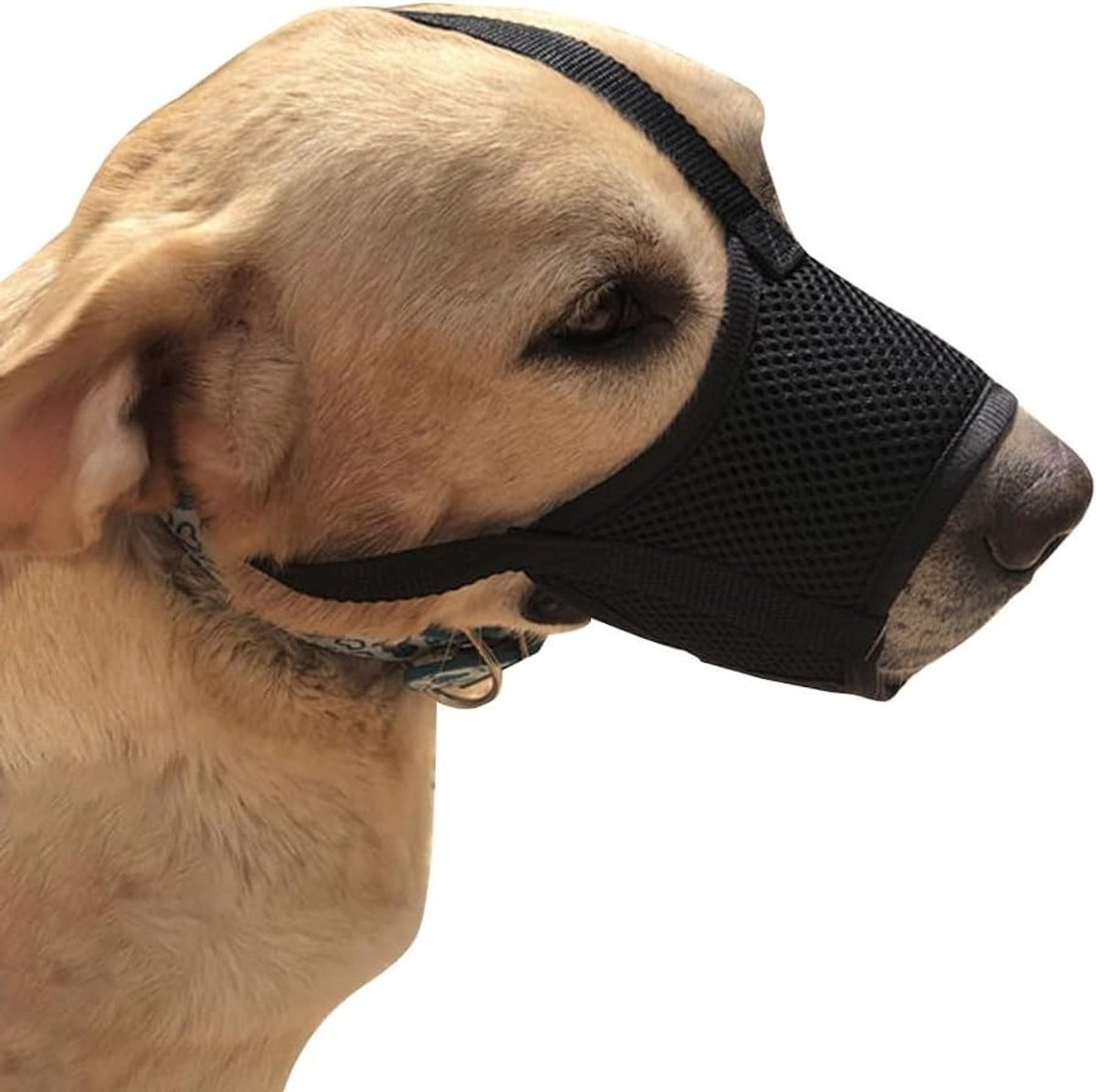 Verstelbare ademende muilkorf van mesh voor honden, veilig en comfortabel tijdens training en wandelingen (zwart, XL)