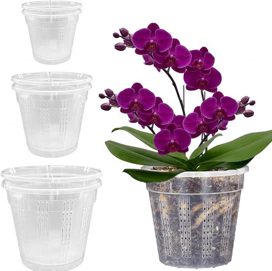 Een paarse orchidee in een transparante pot, naast drie lege transparante potten.